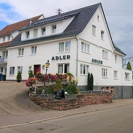 Adler Calw